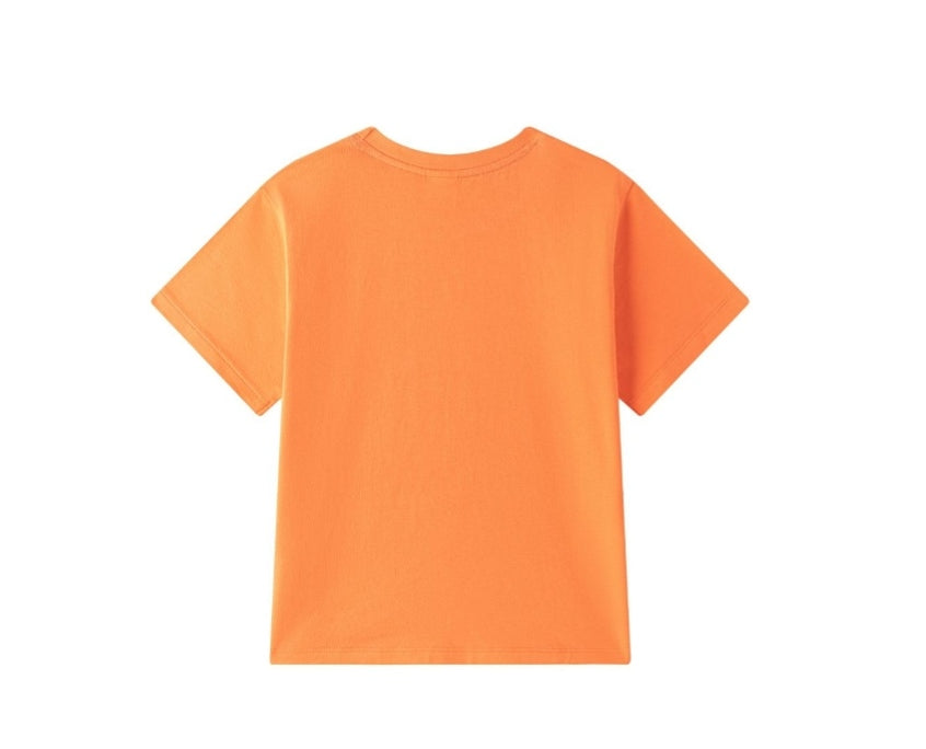 CONJUNTO DINOSAURIO NARANJA